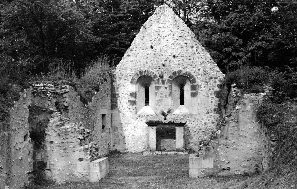 Les maudits, les fous, et la lumière magique ! (Aventures avec le docteur Schweitzer) 