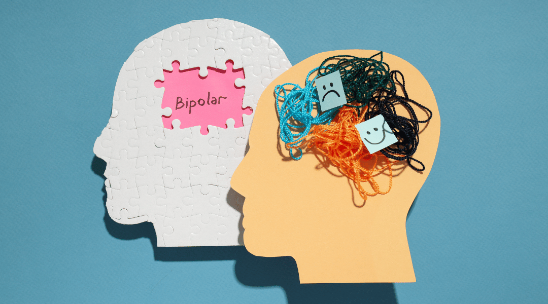 LES TROUBLES BIPOLAIRES