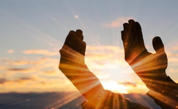LOI DE SPIRITUALITE ET DE SENSIBILITE