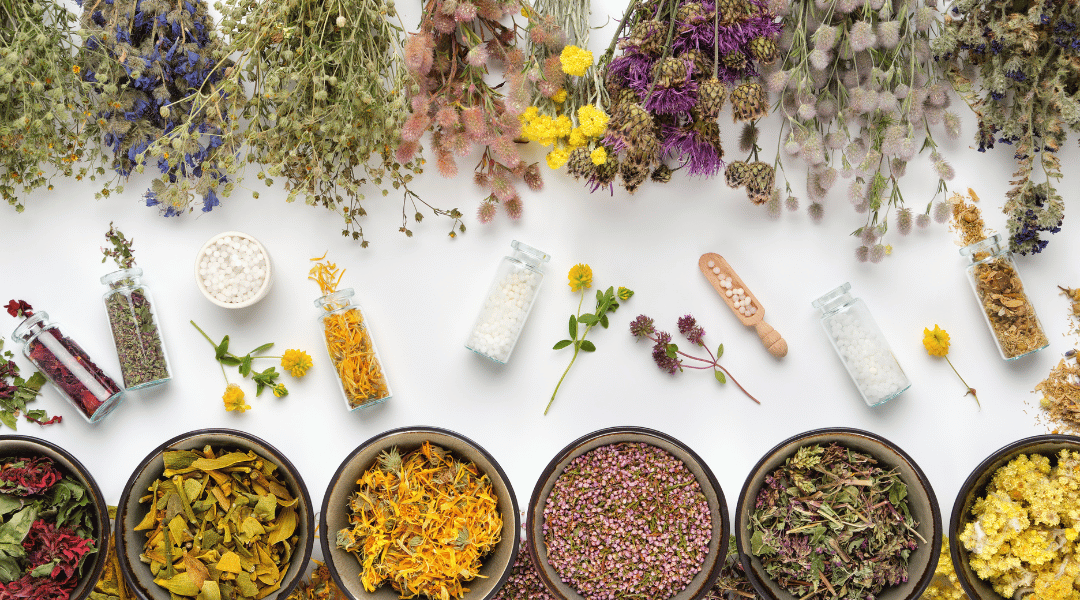 HARO SUR LES PLANTES MEDICINALES !